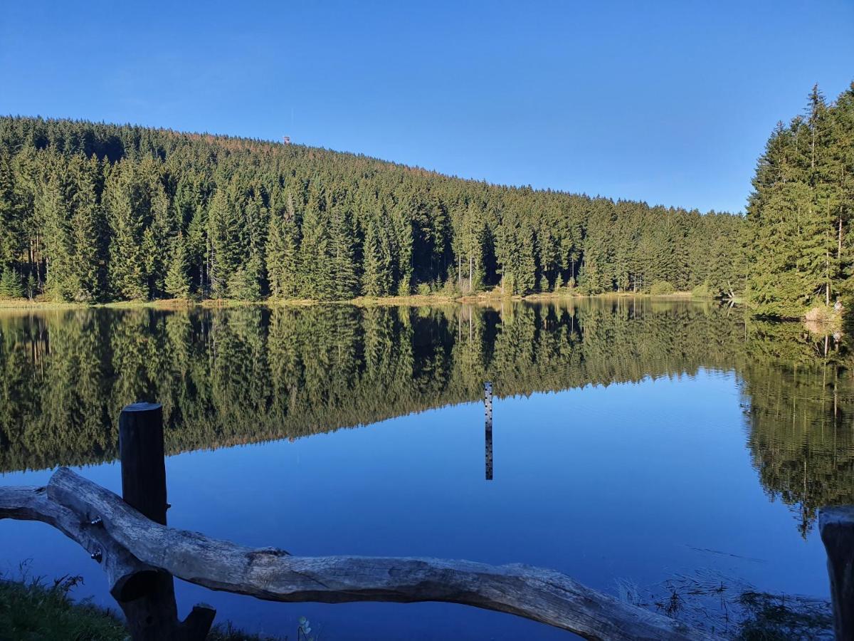Erholung Pur Lägenhet Goslar Exteriör bild