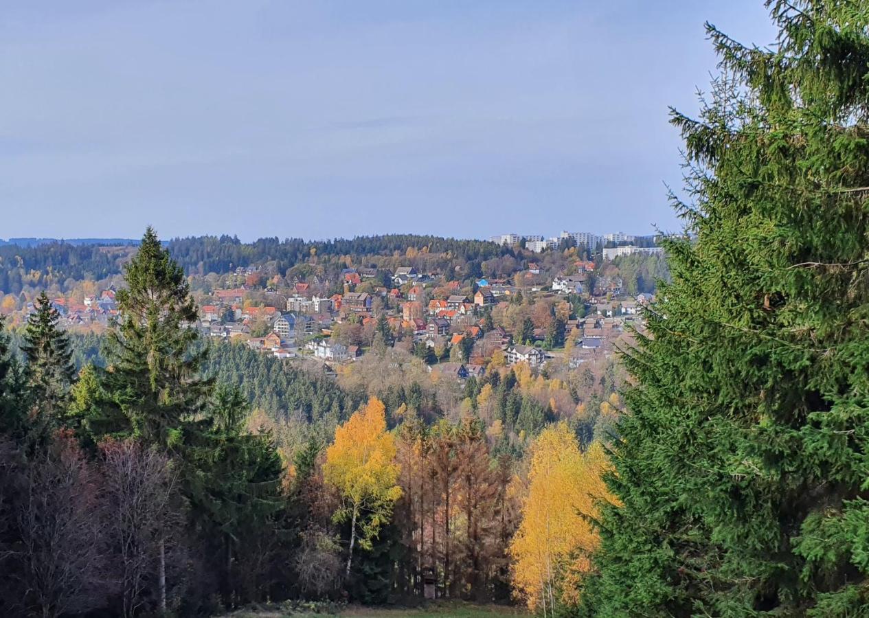 Erholung Pur Lägenhet Goslar Exteriör bild