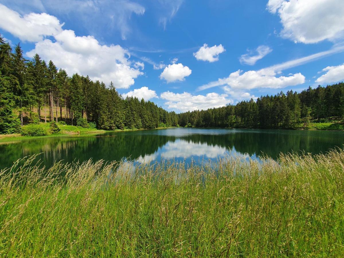 Erholung Pur Lägenhet Goslar Exteriör bild